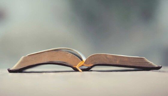 L’Inferno dell’Indifferenza